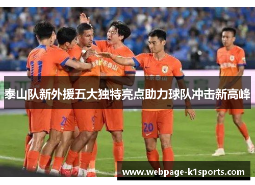 泰山队新外援五大独特亮点助力球队冲击新高峰