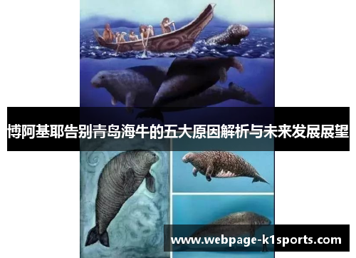 博阿基耶告别青岛海牛的五大原因解析与未来发展展望