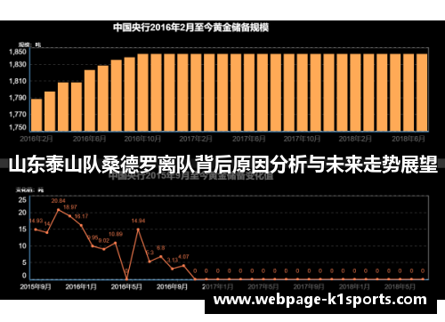 山东泰山队桑德罗离队背后原因分析与未来走势展望