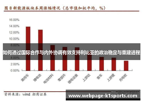 如何通过国际合作与内外协调有效支持利比亚的政治稳定与重建进程